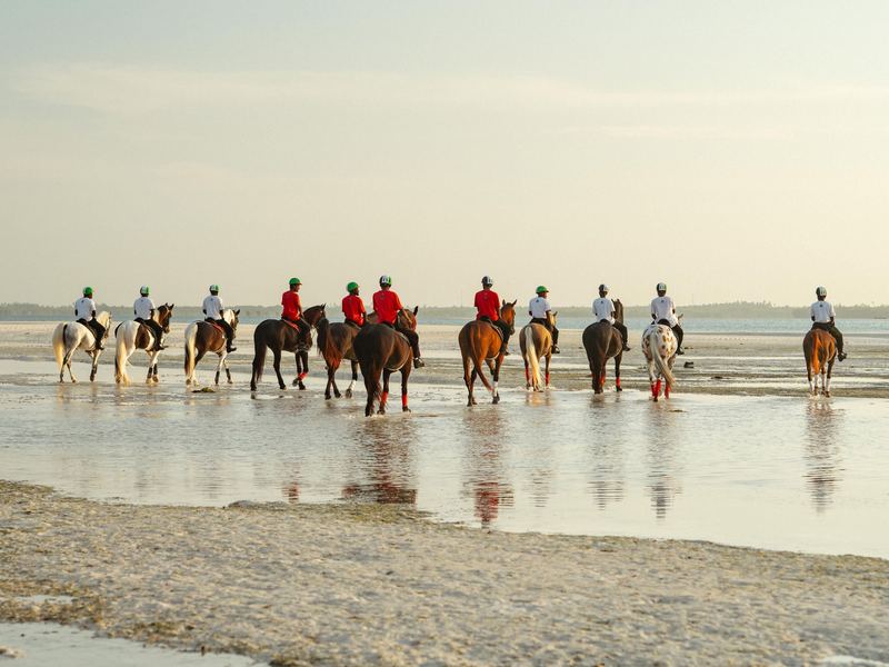 Amanecer con los caballos en San Andrés | Sunrise horseback ride in San Andrés
