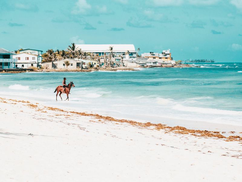 Caballo entrando al mar turquesa de San Andrés | Horse entering the turquoise sea of San Andrés