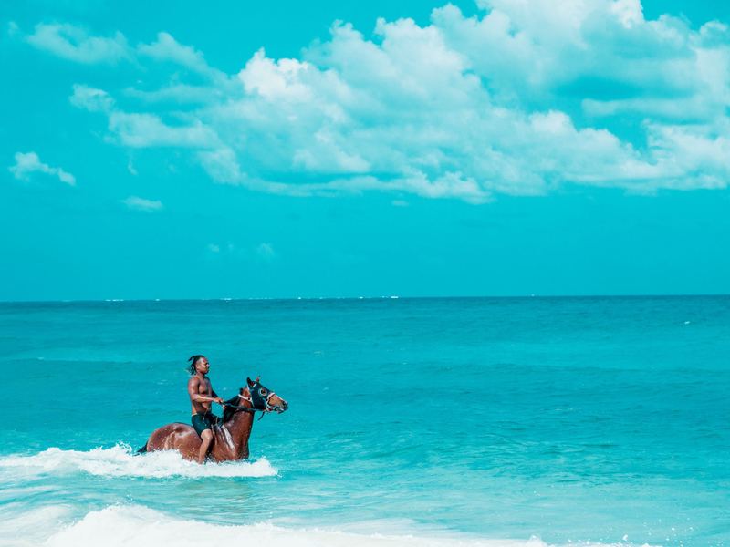 Vista panorámica del Caribe desde el lomo del caballo | Panoramic Caribbean view from horseback