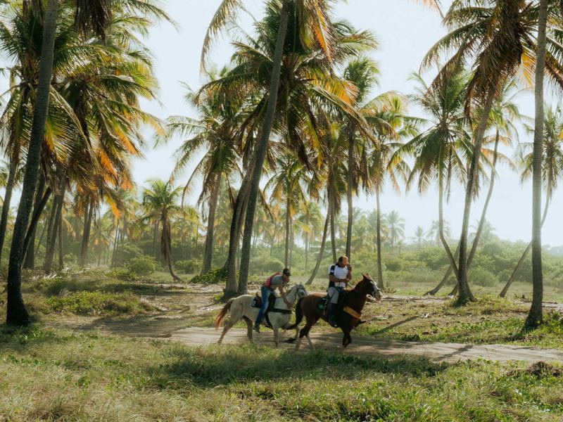 Video de la experiencia completa de cabalgata en San Andrés | Full horseback riding experience video in San Andrés